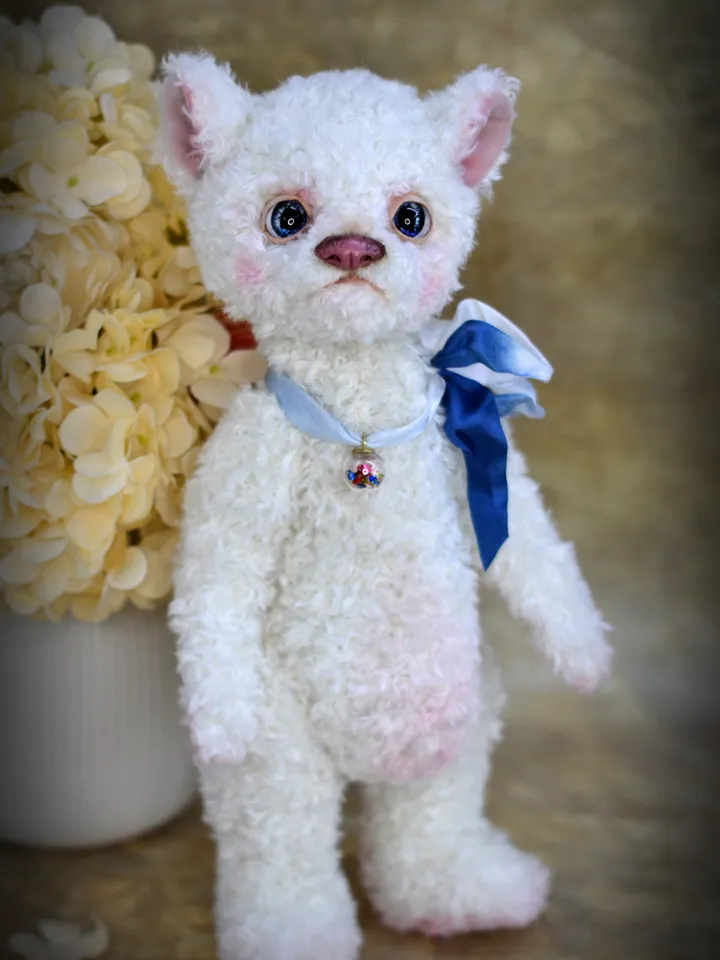 Teddy bear, a soft toy