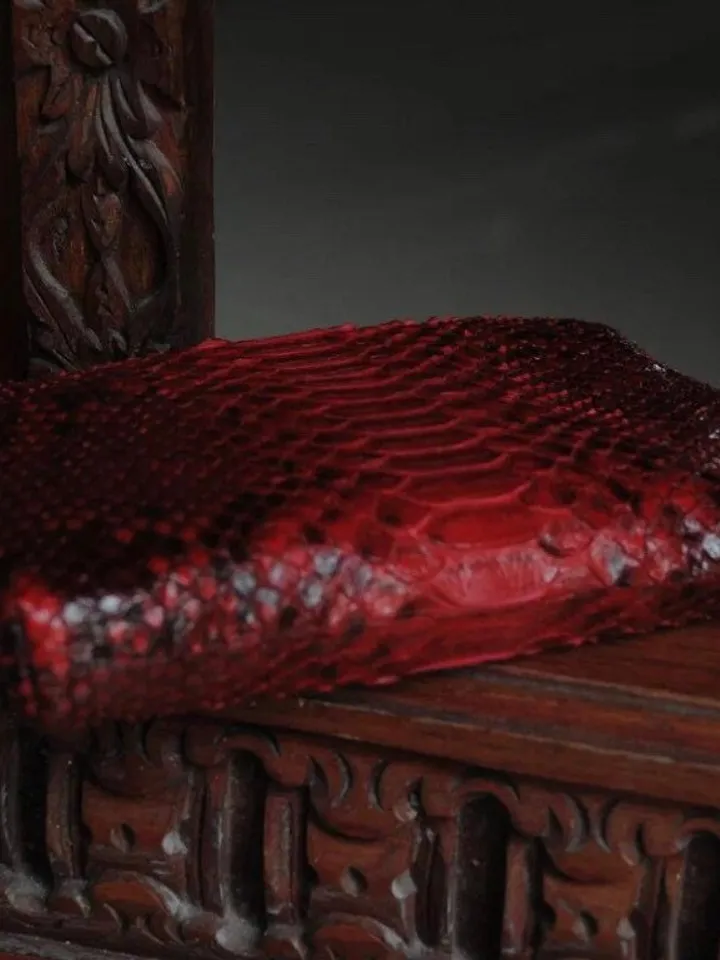 Genuine python skin red cosmetic bag/ Purse Insert Organizer/ Bag Insert For Tote Bag/ exotic leather wallet / small snake skin clutch