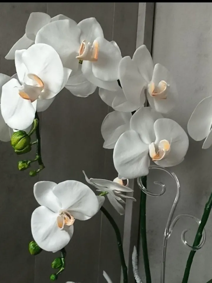 artificial orchid for living room, phalaenopsis, decorative orchid, table orchid, orchid flowers for room