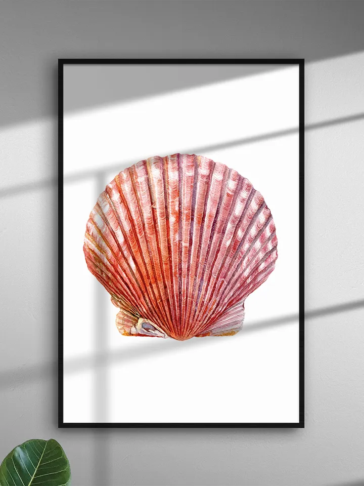Watercolor PNG clipart, Scallop Shell, Digital file for printing and design in high resolution.