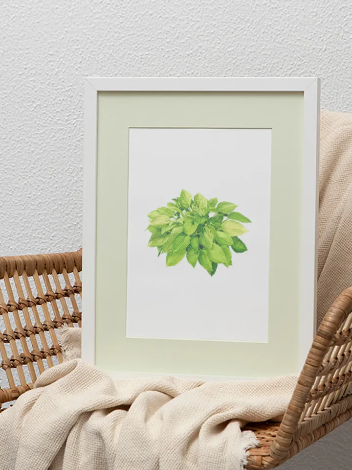 Watercolor clip art with green leaves hosta 2, Digital watercolor file PNG and JPEG for design and print Illustration