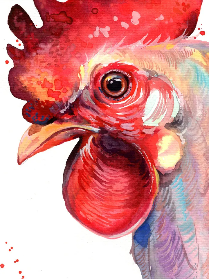 Rooster original watercolor, birds painting, wall decor, 7x10 in art for bird lovers by Anne Gorywine