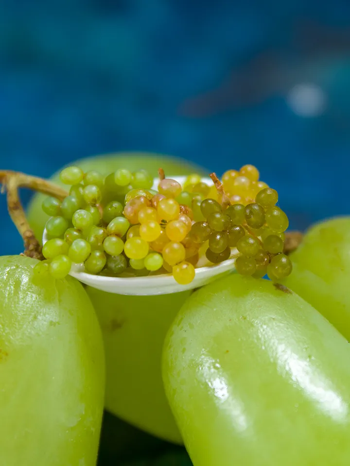 TUTORIAL Miniature grape with polymer clay