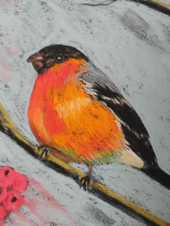 Bullfinch and Mountain Ash. Original soft pastel drawing.