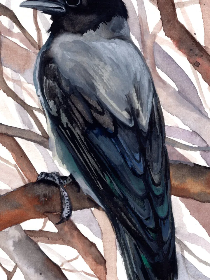 Crow Original watercolor, bird painting, wall decor, birds lover gift, 8x11 in handmade art by Anne Gorywine