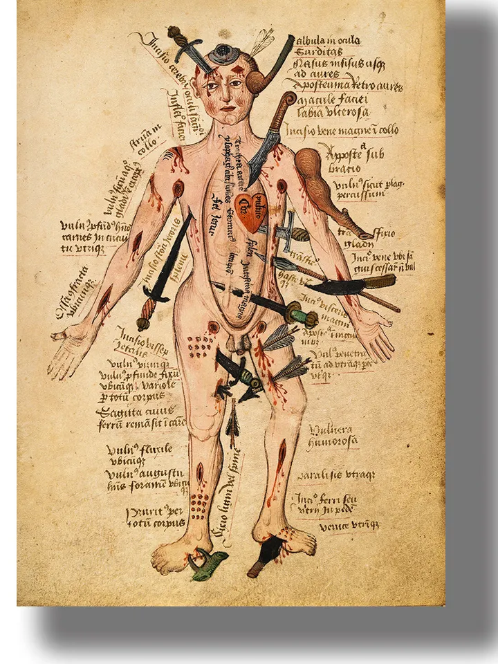 An illustration from an old medical atlas. Anathomia by Pseudo-Galen.