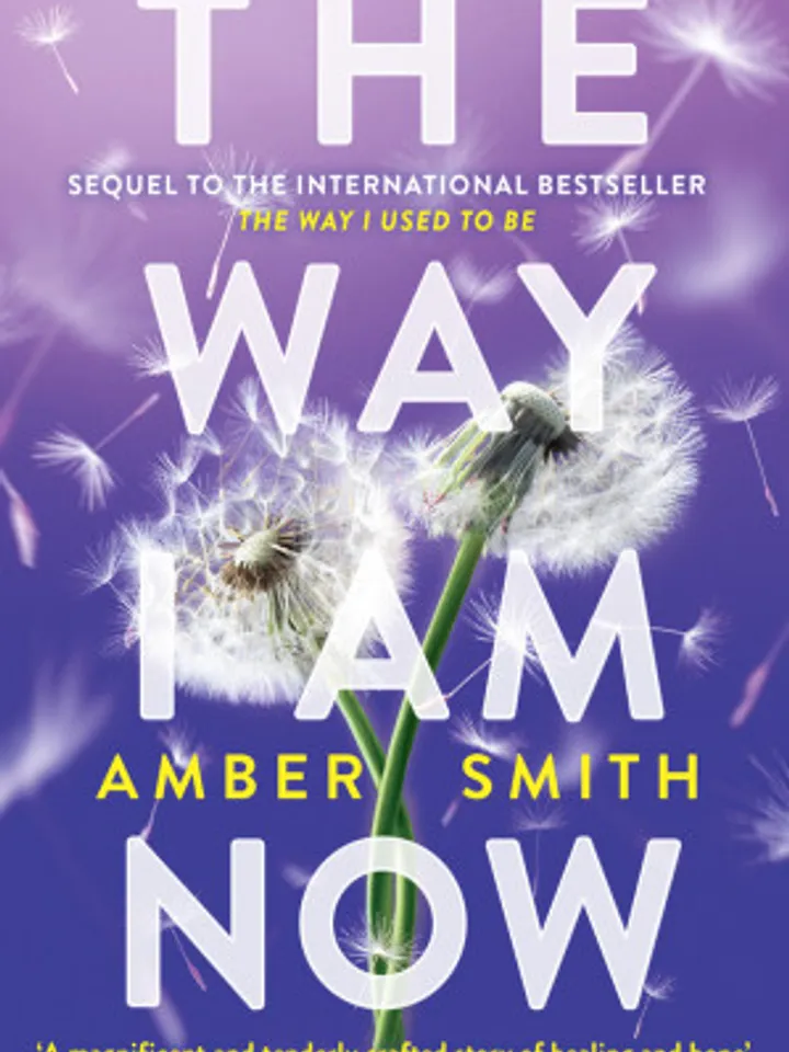 The Way I Am Now (The Way I Used to Be) by Amber Smith
