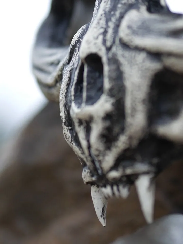 Bat Skull Mask | Animal Skull Mask with Pattern, Cat skull mask