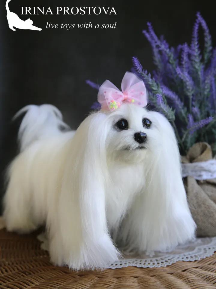 Pattern Dog | Realistic sewing toy pattern | Maltese dog | Stuffed Animals |Pattern with brief instruction for stitching