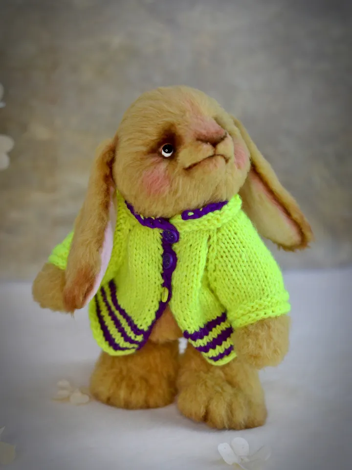 Teddy bunny, a soft toy