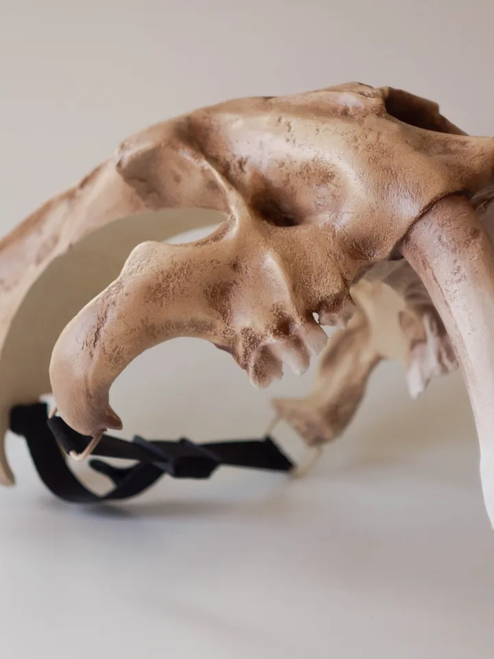 Smilodon Skull Mask Helmet | Horror Mask | Realistic Animal Skull on head | tribal headpiece | Headpiece skull | ritual mask | pagan