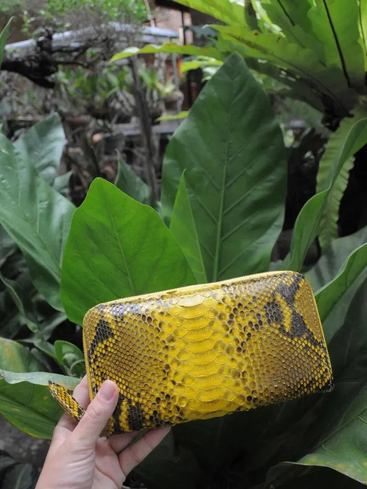 Wallet genuine python skin yellow snake color, women wallet, leather lady wallet, classic zip wallet, designer wallet handmade, money wallet