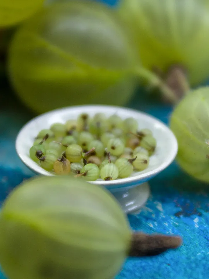 TUTORIAL Miniature gooseberries with polymer clay