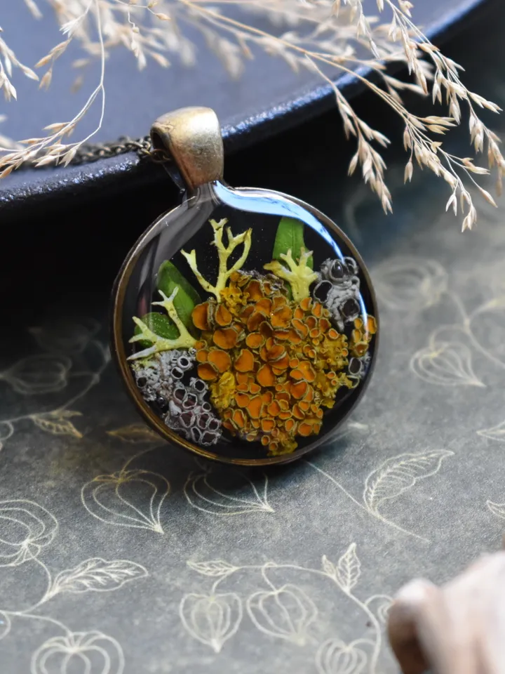 Lichen pendant. Pendant with lichen in resin. Necklace with real lichen. Forest medallion with lichen and moss in resin.