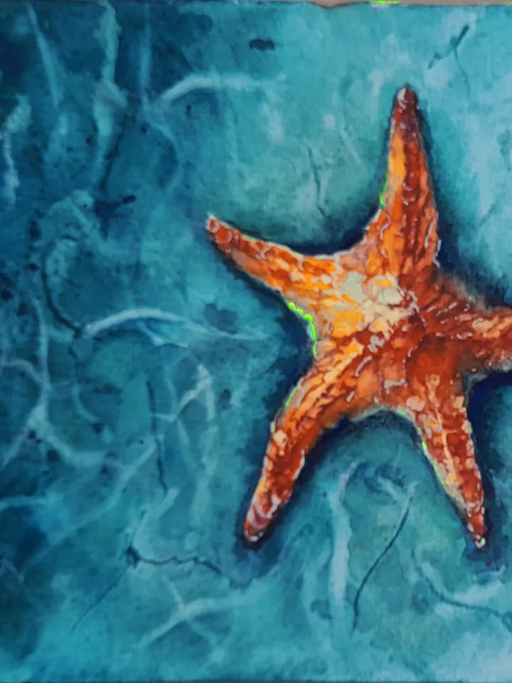Starfish. Sea voyages watercolor series
