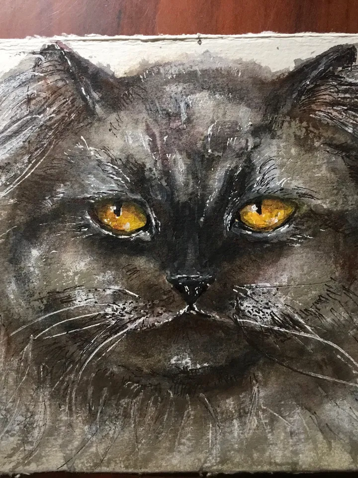 Black Persian cat painting,original watercolor painting,cat original painting,animals wall art,cat lovers gift,home decor wall art.