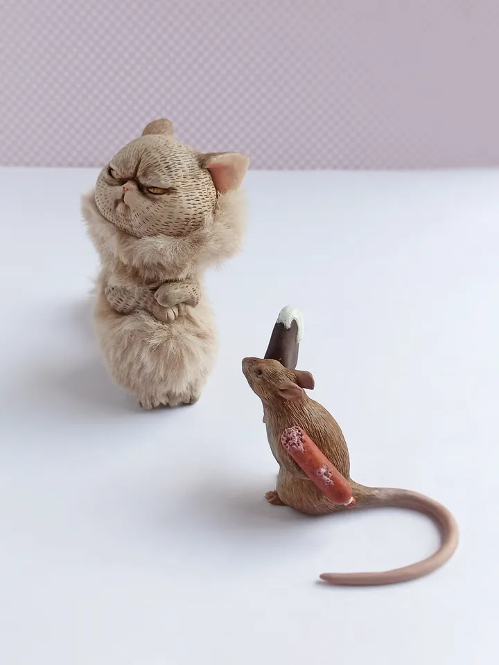 Offended angry cat