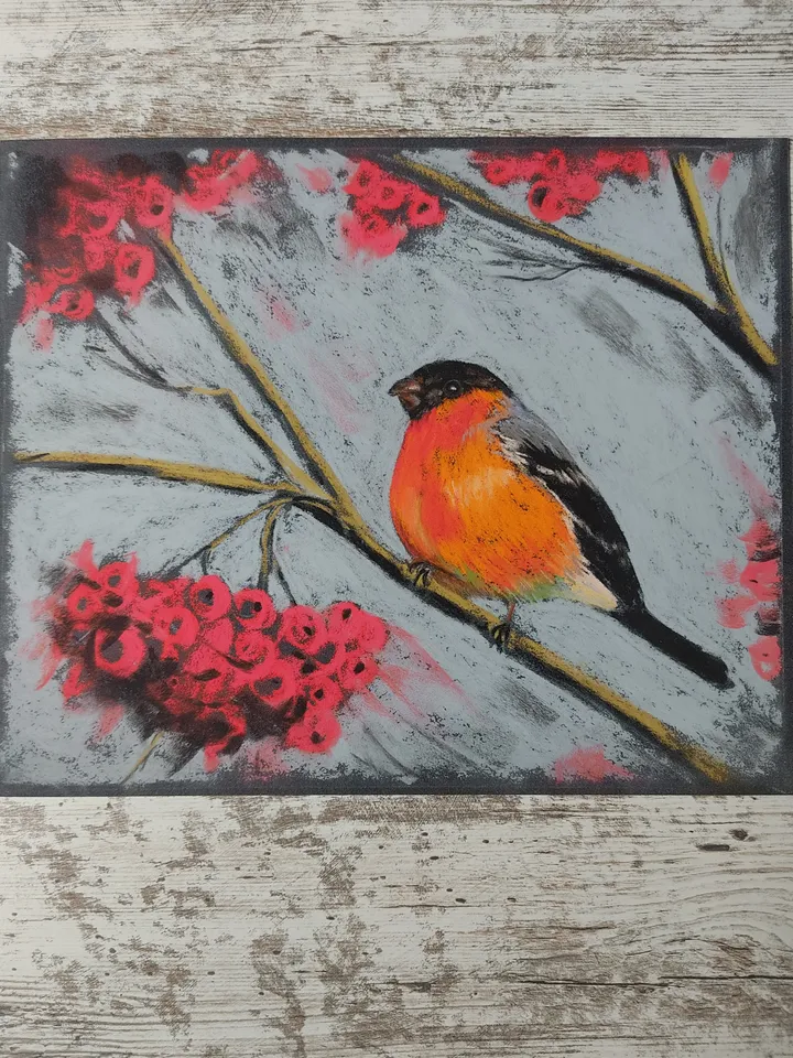 Bullfinch and Mountain Ash. Original soft pastel drawing.