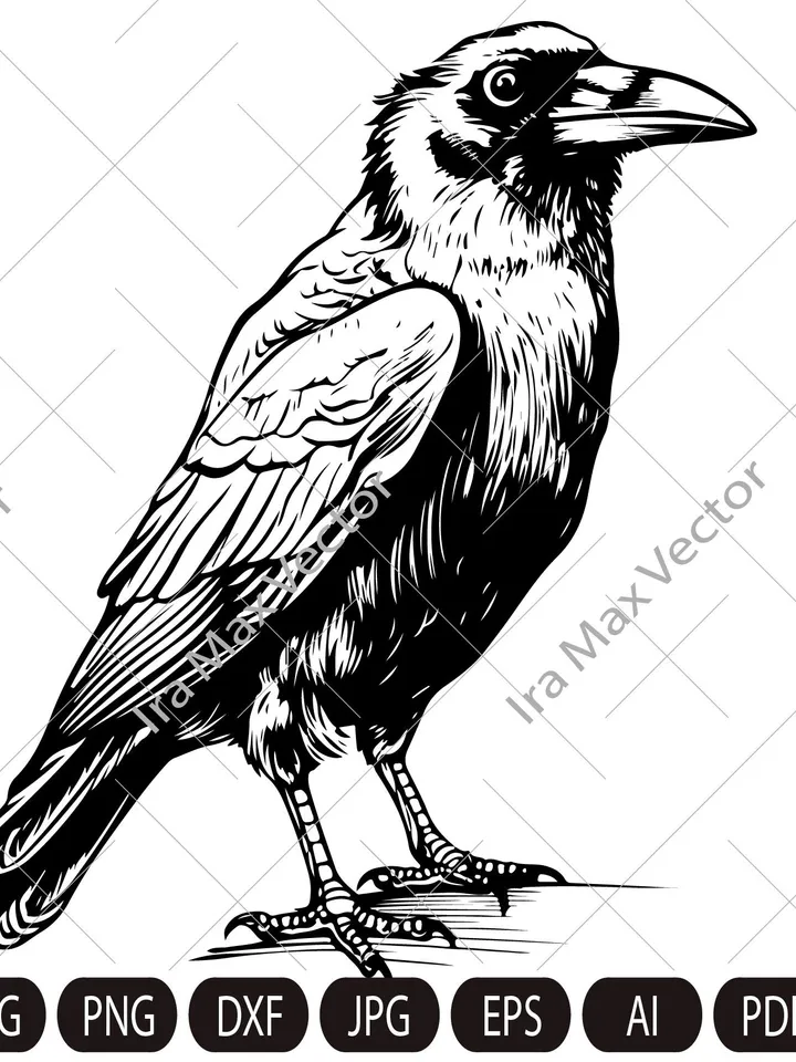 Raven SVG ,Black Crow svg, Raven sitting svg, Crow sitting svg,Cute crow, Vintage Design, Gothic Art, Raven  Print, Printing Clipart, Birds