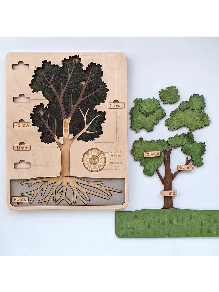 Wooden Tree structure puzzle Montessori Wooden puzzle science play