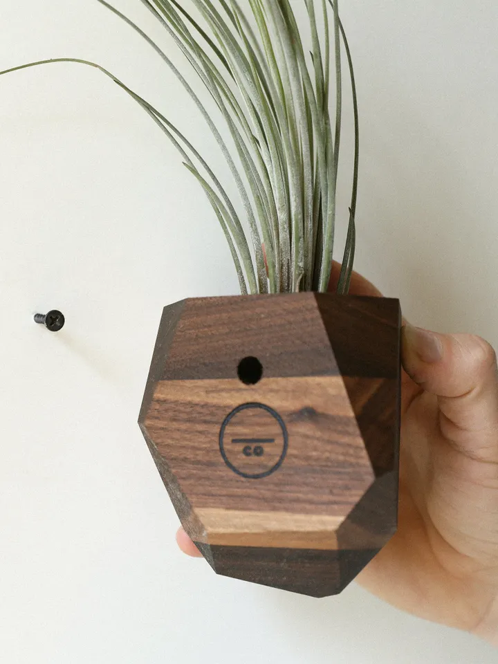 Walnut Geometric Air Plant Holder