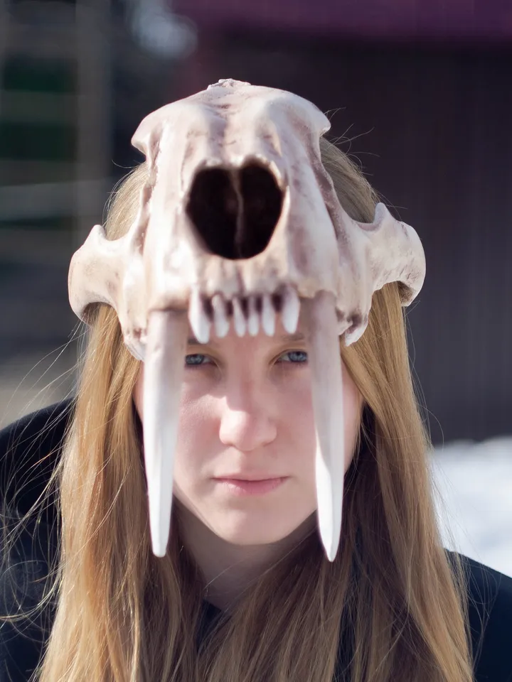 Smilodon Skull Mask Helmet | Horror Mask | Realistic Animal Skull on head | tribal headpiece | Headpiece skull | ritual mask | pagan