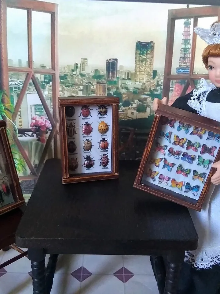 Collection of butterflies under glass for dollhouses.1:12 scale.