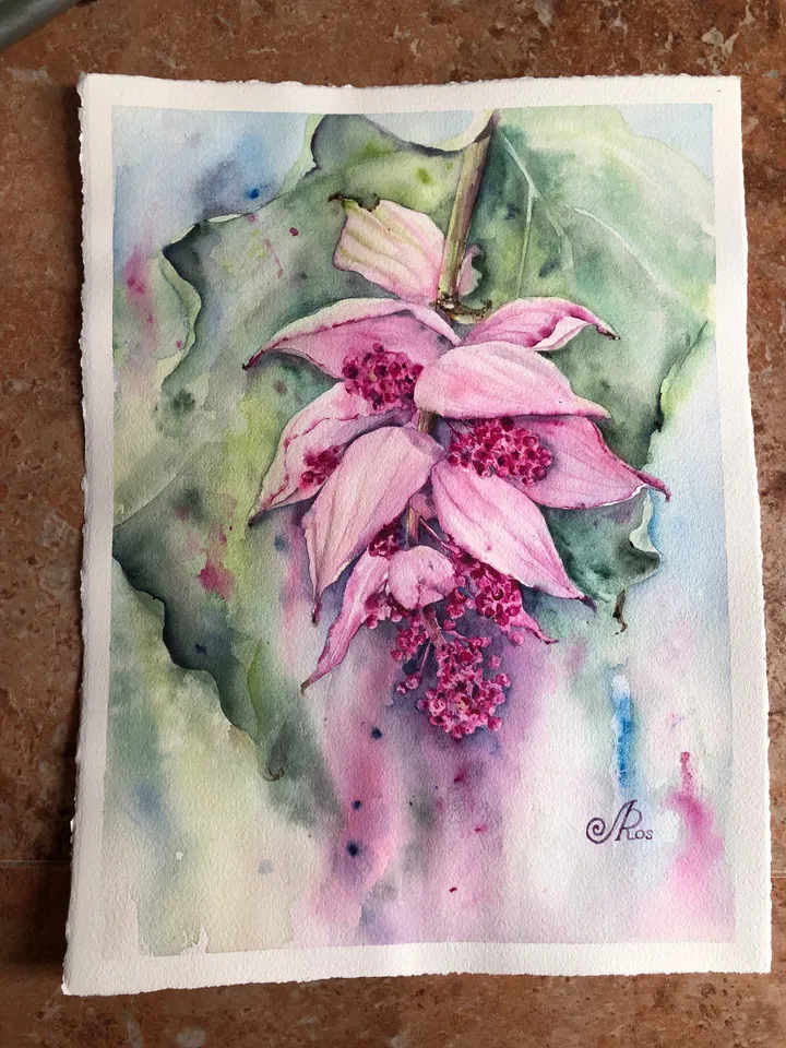 Flowers Original Painting Tropical Floral Watercolor Bouquet Painting