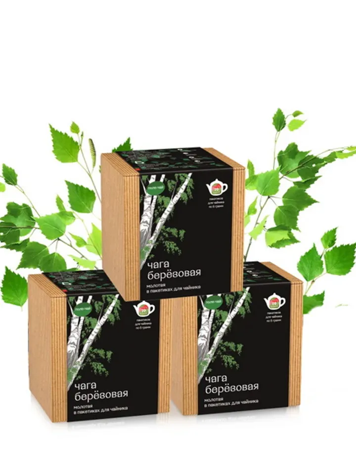Chaga Inonotus obliquus, Russian Birch, Bagged