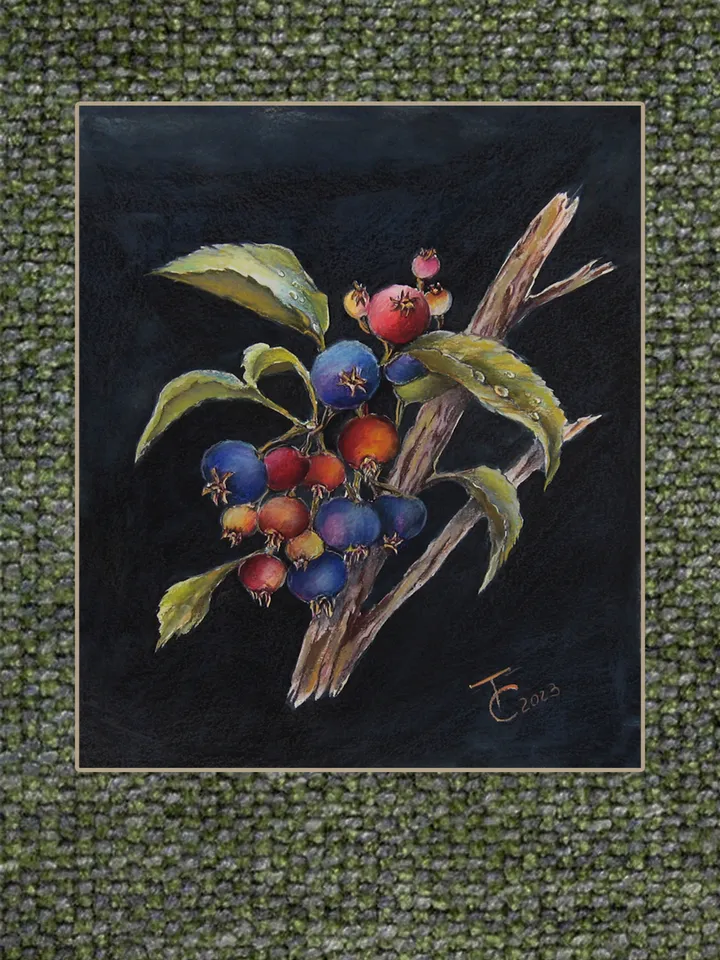 Shadberry. Watercolor painting with berries on a branch 10х12 inches