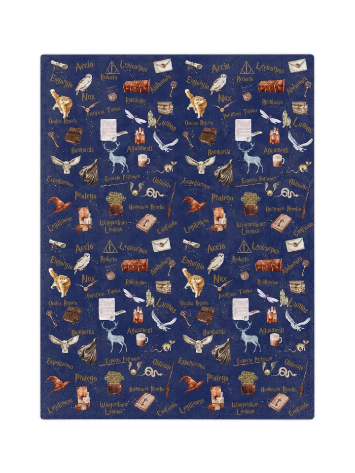 Wizarding World Baby Blanket; Magic School Baby Fleece Blanket Owl Key Magic World Custom Wizard Blanket Gift for Baby Minky Blanket WBB12