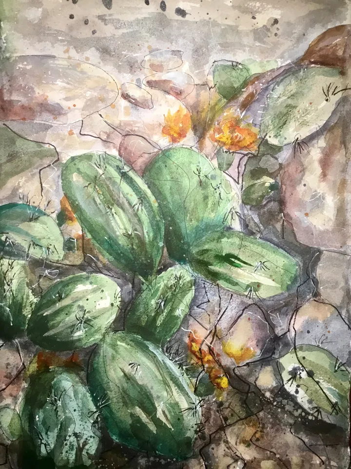 Cactus flower,original watercolour mix media painting on watercolour paper,original and prints available.