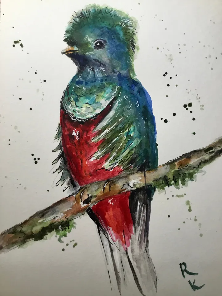 Quetzal bird original watercolour painting,exotic birds painting,watercolor birds wall art,small painting gift,original birds painting.