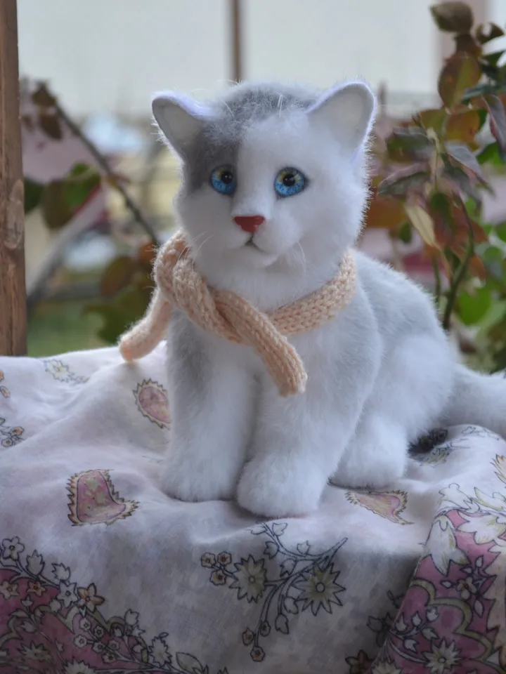 Kitten Marie
