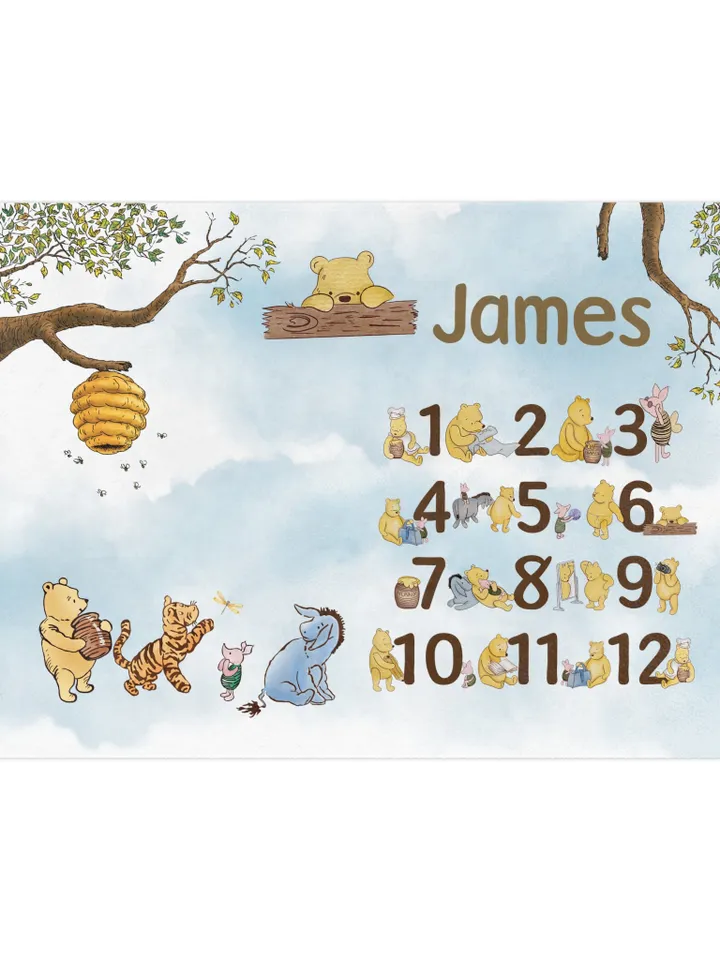 Personalized Milestone Blanket Winnie Pooh, Classic Winnie Pooh Milestone Blanket, Personalized Pooh Blanket, Hundred Acre Wood; wp00