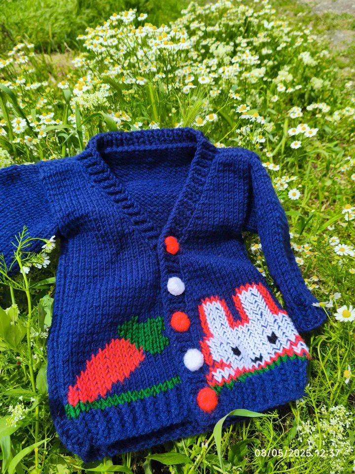 Adorable Baby Cardigan with Hand-Knitted Buttons and Cute Embroidery