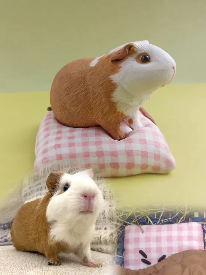 Custom guinea pig sculpture