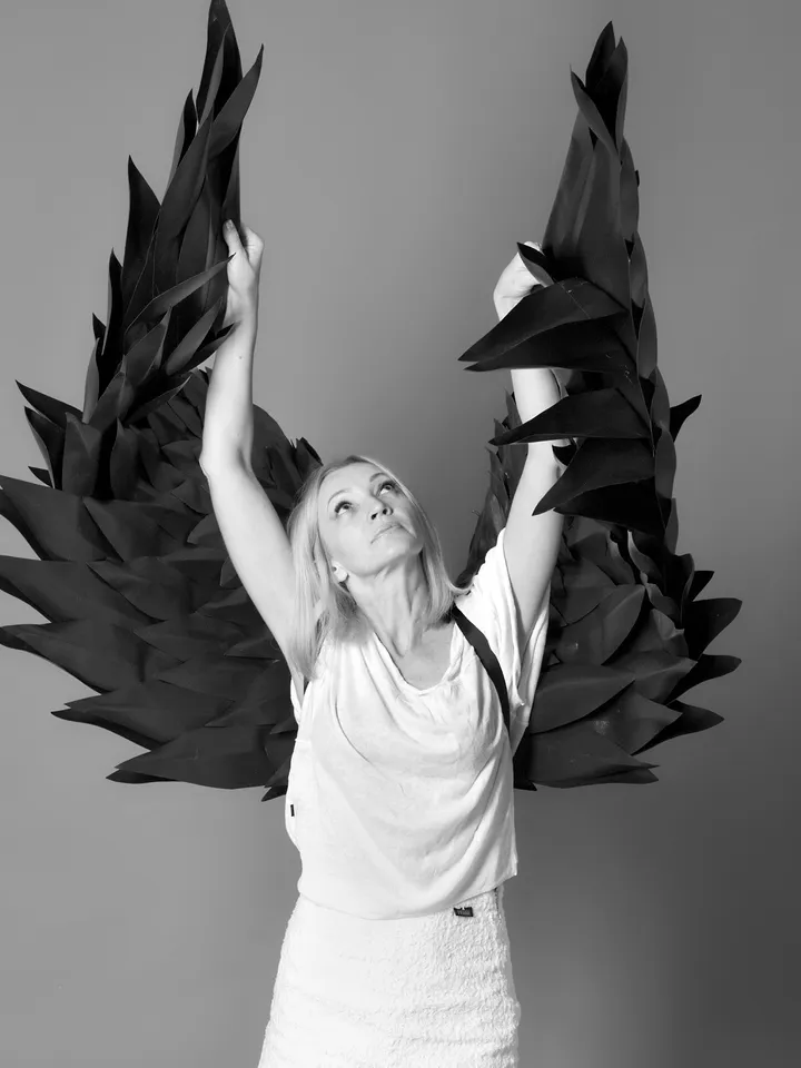 Black wings demon, cosplay wings, angel wings costume, wings photo prop, angel wings adult, devil angel, Wings for Men