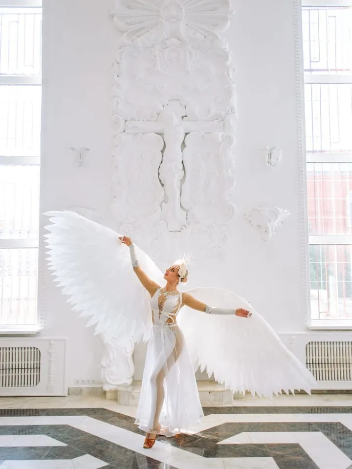 Angel Wings, Costume Wings, Cosplay Wings, Party Wings, Dance Wings, Wedding Costumes