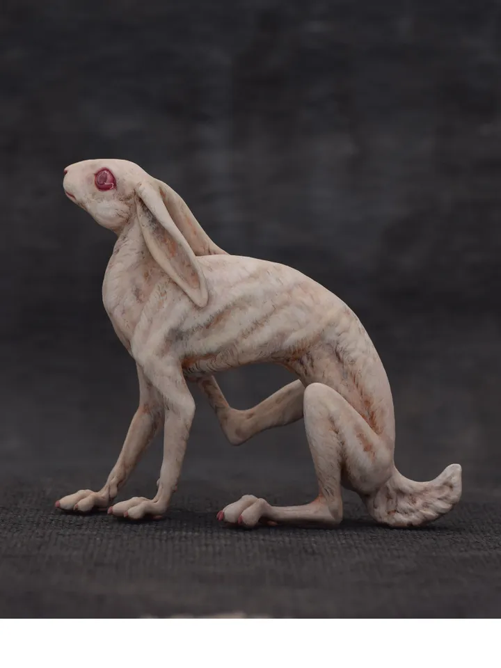 White rabbit