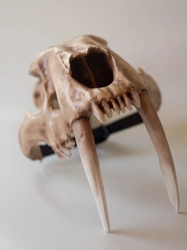 Smilodon Skull Mask Helmet | Horror Mask | Realistic Animal Skull on head | tribal headpiece | Headpiece skull | ritual mask | pagan