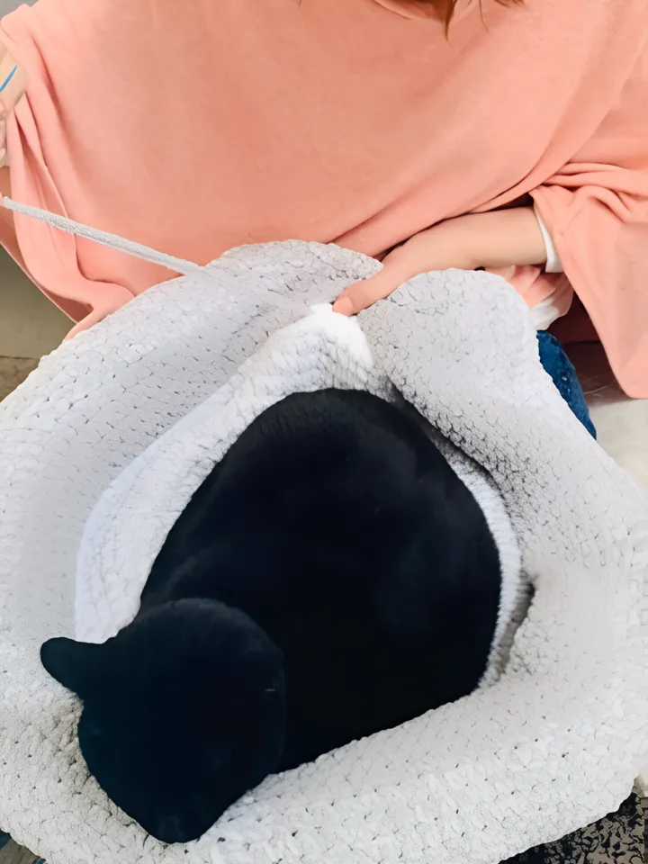 Easy Doughnut-Shaped Pet Bed