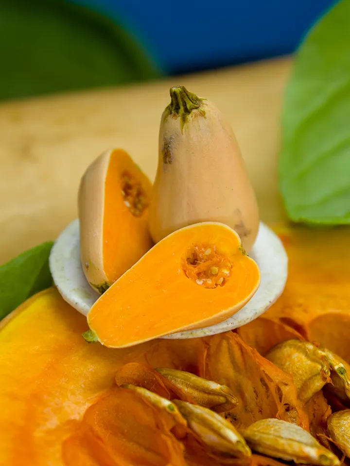 TUTORIAL Miniature bottle pumpkin / miniature butternut squash with polymer clay