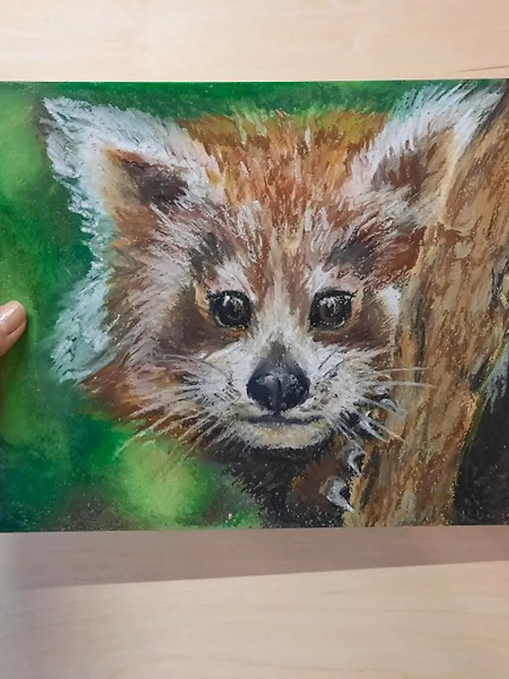 Red Panda painting Animal painting Original painting Oil pastel painting