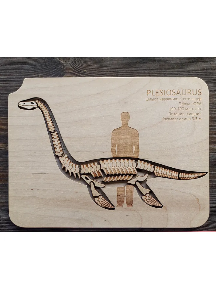 Wooden Puzzle Dinosaur Skeletons Montessori puzzle science play T-Rex puzzle