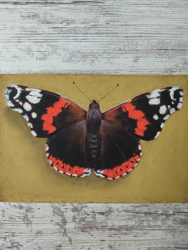 Butterfly. Original soft pastel drawing.