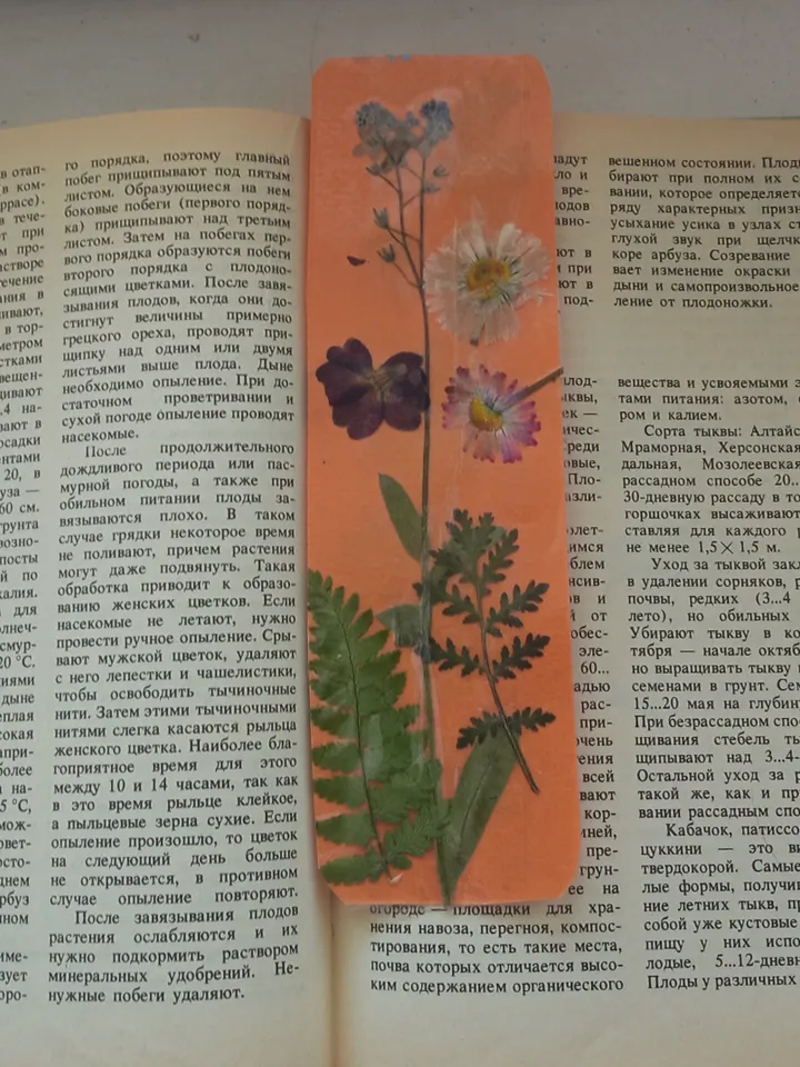 set of 4 bookmarks for herbarium books, handmade bookmarks with dried flowers, memories of summer