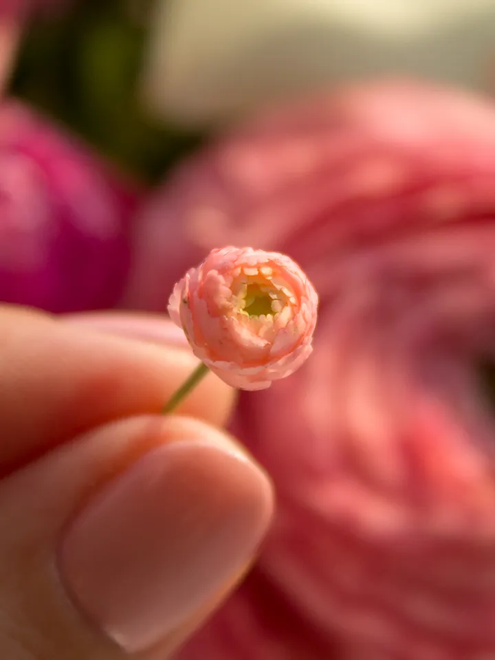 TUTORIAL Miniature ranunculus with air dry clay