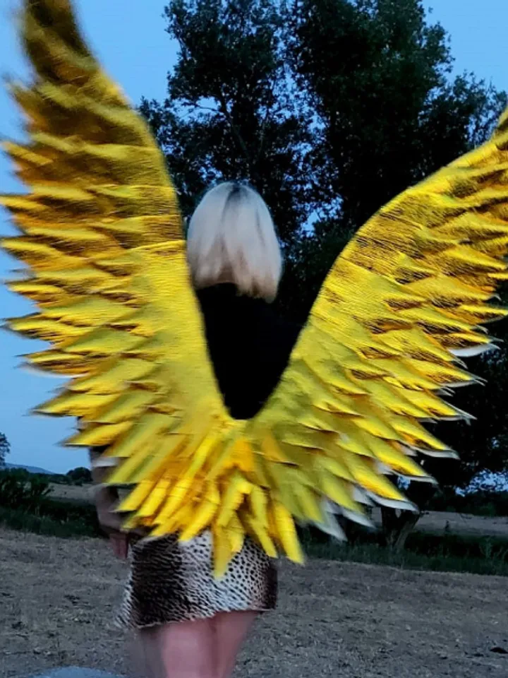 Angel Wings, Gold Angel Wings, Cosplay Wings, SparklingWings, Adult Accessory for Divine, Fairy, Goddess & Queen Costume