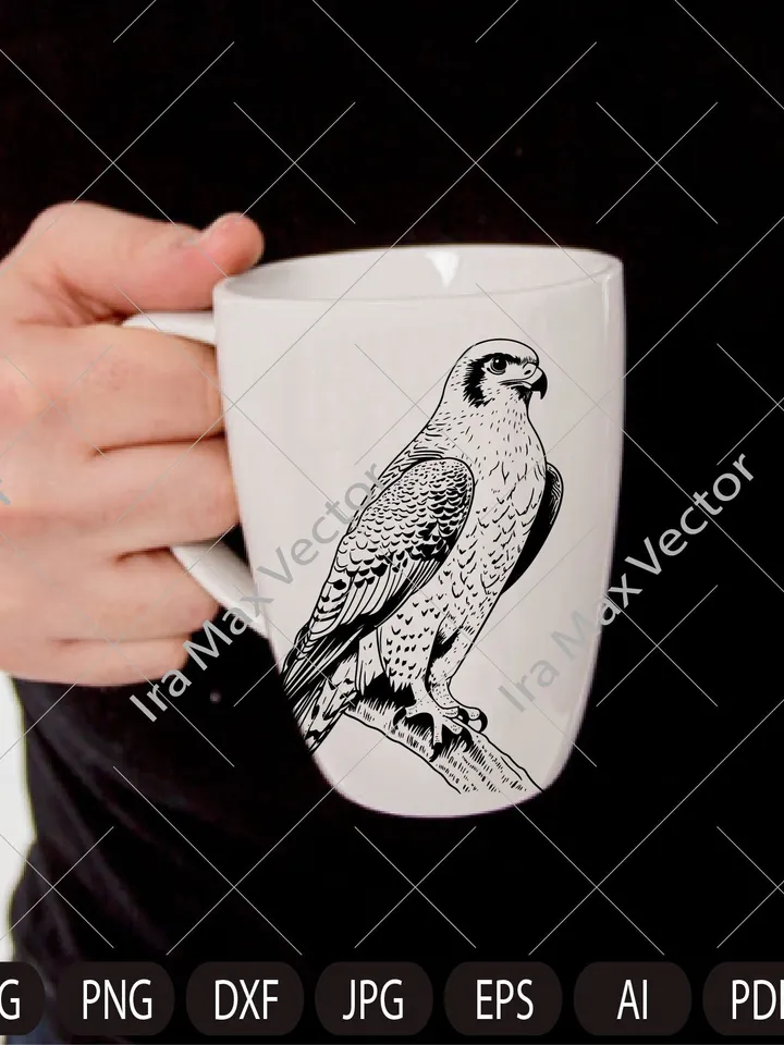 Falcon Svg, Falcon Clipart, Falcon Png, Falcon Head, Falcon Cut Files For Cricut , Falcon Silhouette, Bird Silhouette